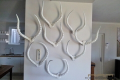 Collage Picture Hanging Service l10