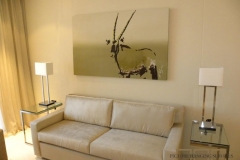 Picture Hanging Services Security 7